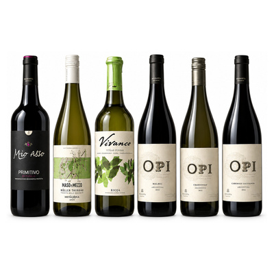 Zestaw Win 6x Mix Świata + Primitivo i Malbec (Oszczędzasz 60 zł)