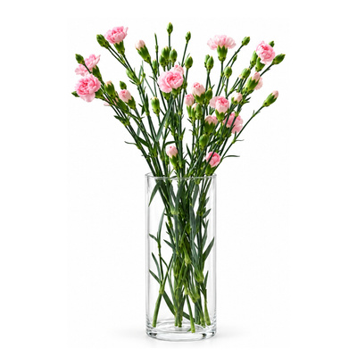 Cylindryczny wazon na kwiaty Home 28 cm
