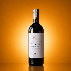 Wino Tolloy Pinot Grigio Alto Adige DOC 0,75 L