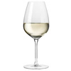 Kieliszek DUET do wina białego 2 szt 460 ml