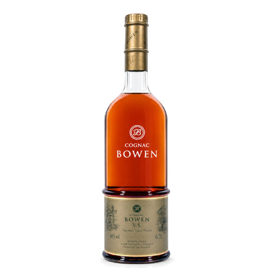 BOWEN VS 40% 0,7L