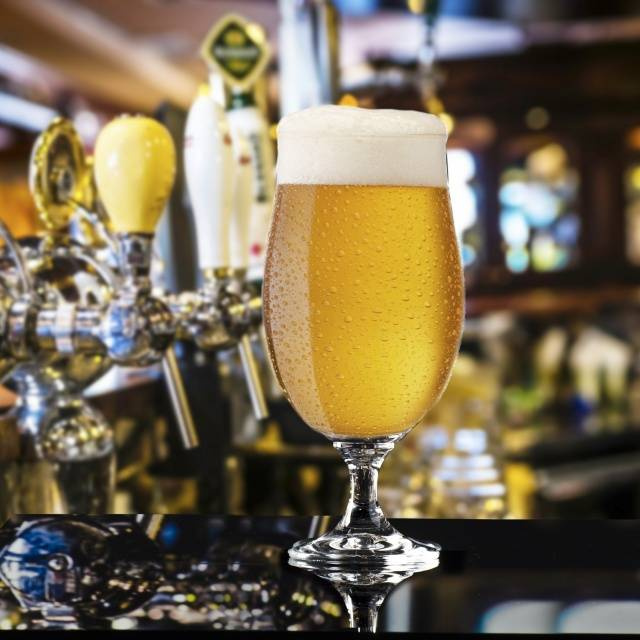 Szklanka Harmony do piwa typu lager 500ml 6 szt