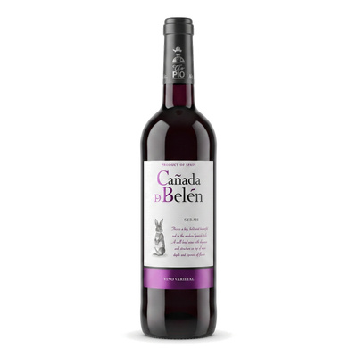Wino Tio Pio Syrah Canada de Belen VdlT Castilla 0,75 L