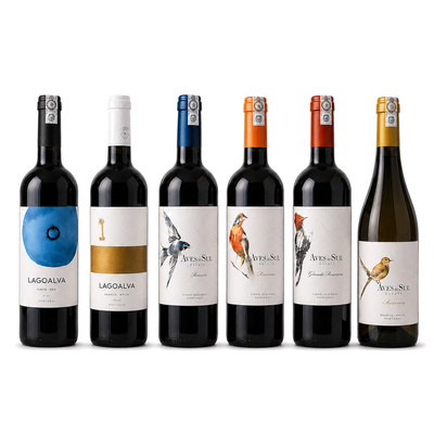 Zestaw Win 6x Cabernet, Carmenere, Mix (Oszczędzasz 60 zł)