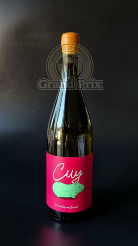 Wino Bio Cuy Torrontés Natural 0,75 L