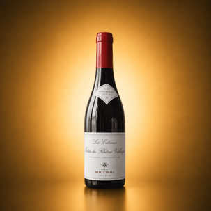 Wino Boutinot Les Coteaux Côtes du Rhône Villages AOP 0,75 L