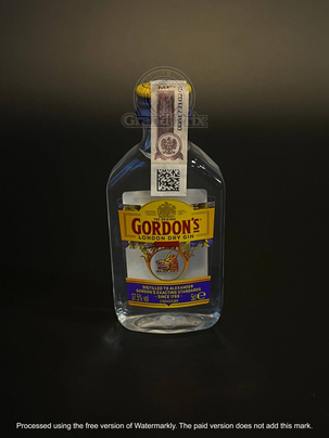 MiniGIN GORDON'S 37,5% 50ML