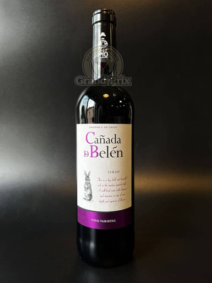 Wino Tio Pio Syrah Canada de Belen VdlT Castilla 0,75 L
