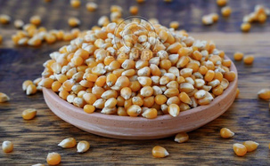 Kukurydza na popcorn 250g