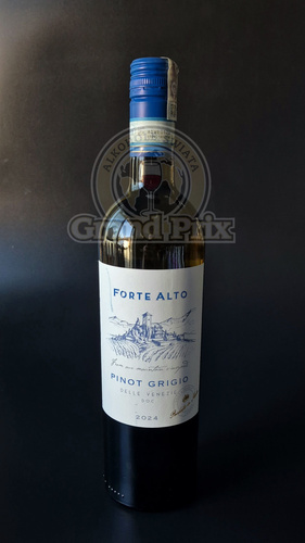 Wino Forte Alto Pinot Grigio 0,75 L 